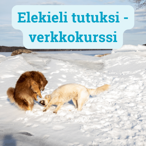 Elekieli tutuksi https://www.elainpalvelurantakangas.com/wp-content/uploads/2023/01/ElainpalveluRantakangas_LOGO_100cm.jpg